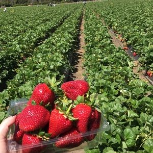 Meet your Posher, Maddie